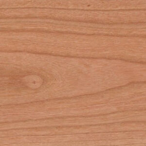 Amerikanischer Kirschbaum