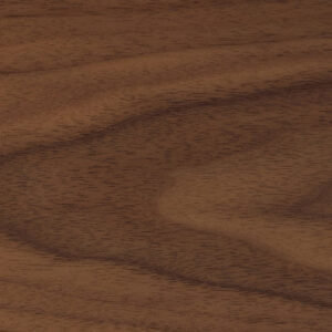 Amerikanischer Nussbaum