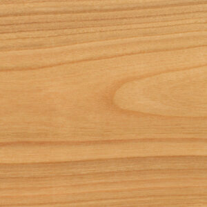 Europäischer Kirschbau